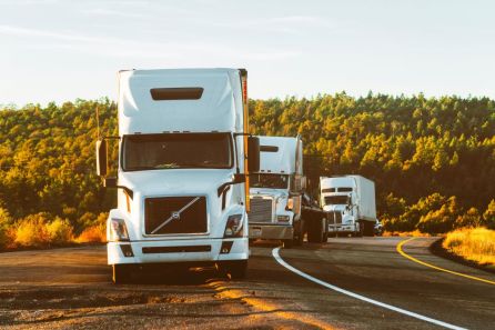 White transport trucks on a road 